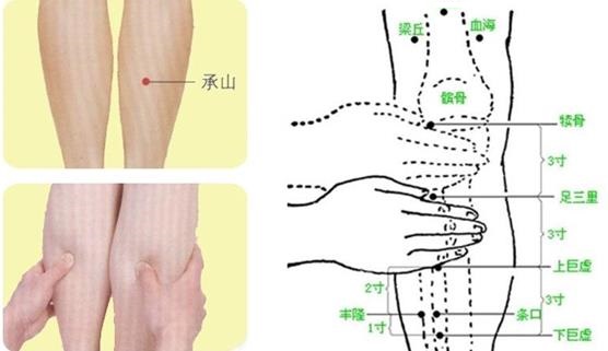 承山穴